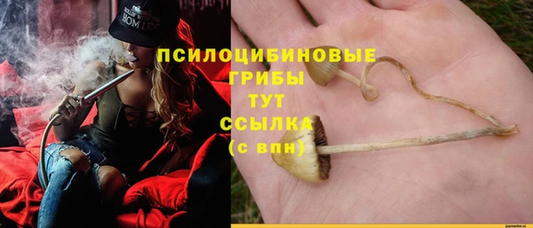 героин Алзамай