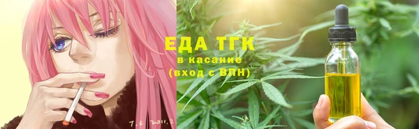 хмурый Алексин