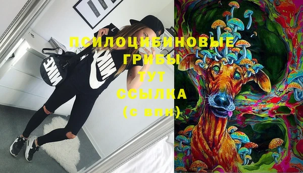 МДПВ Переславль-Залесский