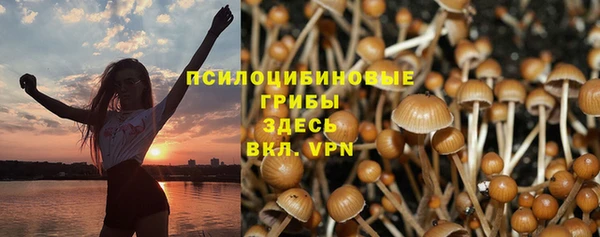 хмурый Алексин