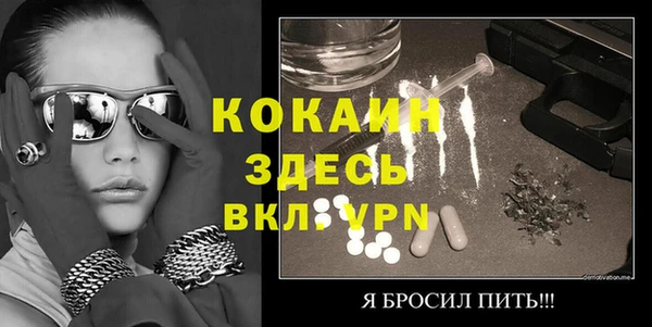 хмурый Алексин