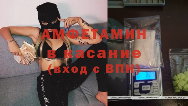 хмурый Алексин